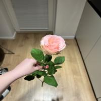 69e0d257a169a_IMG_1501.jpeg